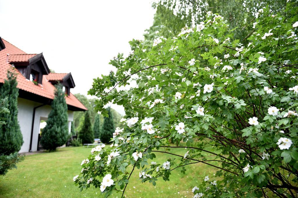 Zajazd Bialy Mlyn Sterlawki Wielkie Exterior photo